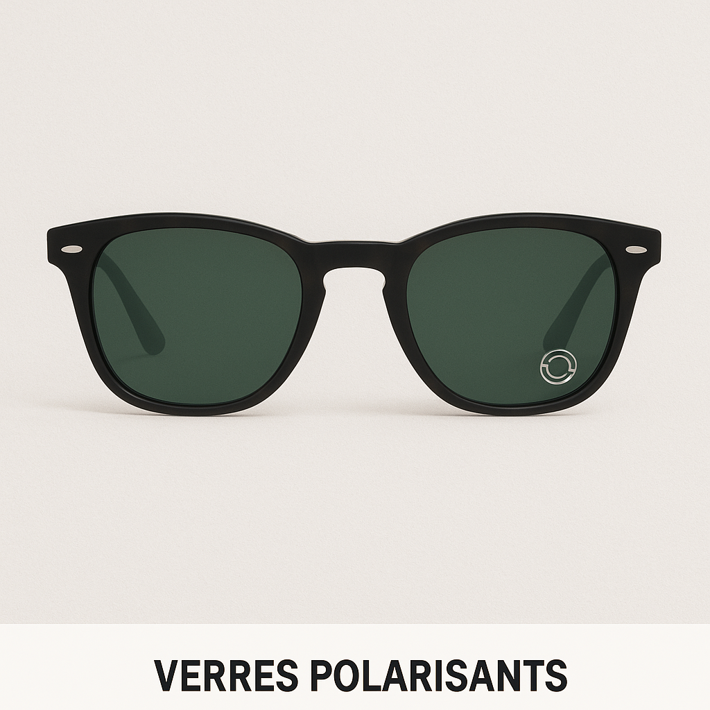 Remplacement de verres solaires (verres + découpe + montage)