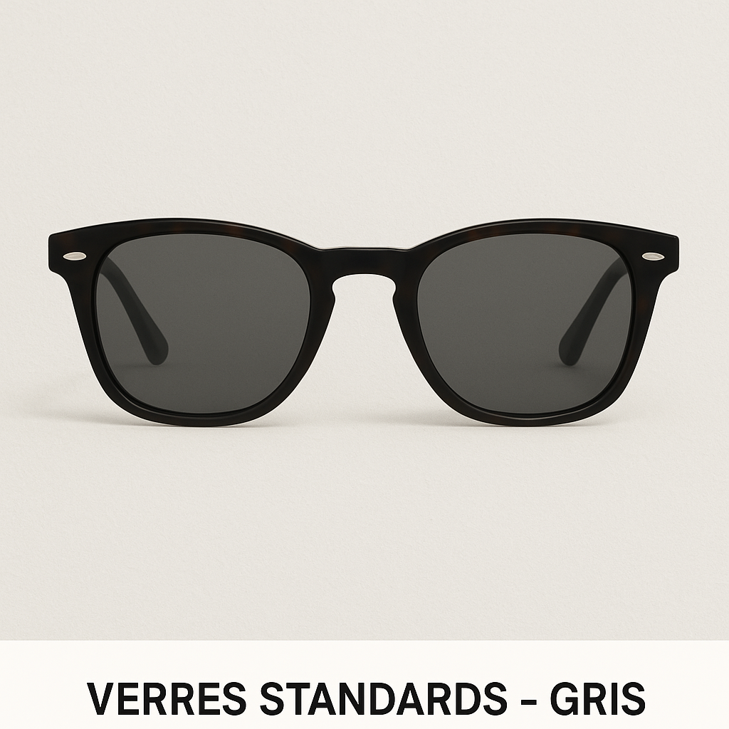 Remplacement de verres solaires (verres + découpe + montage)